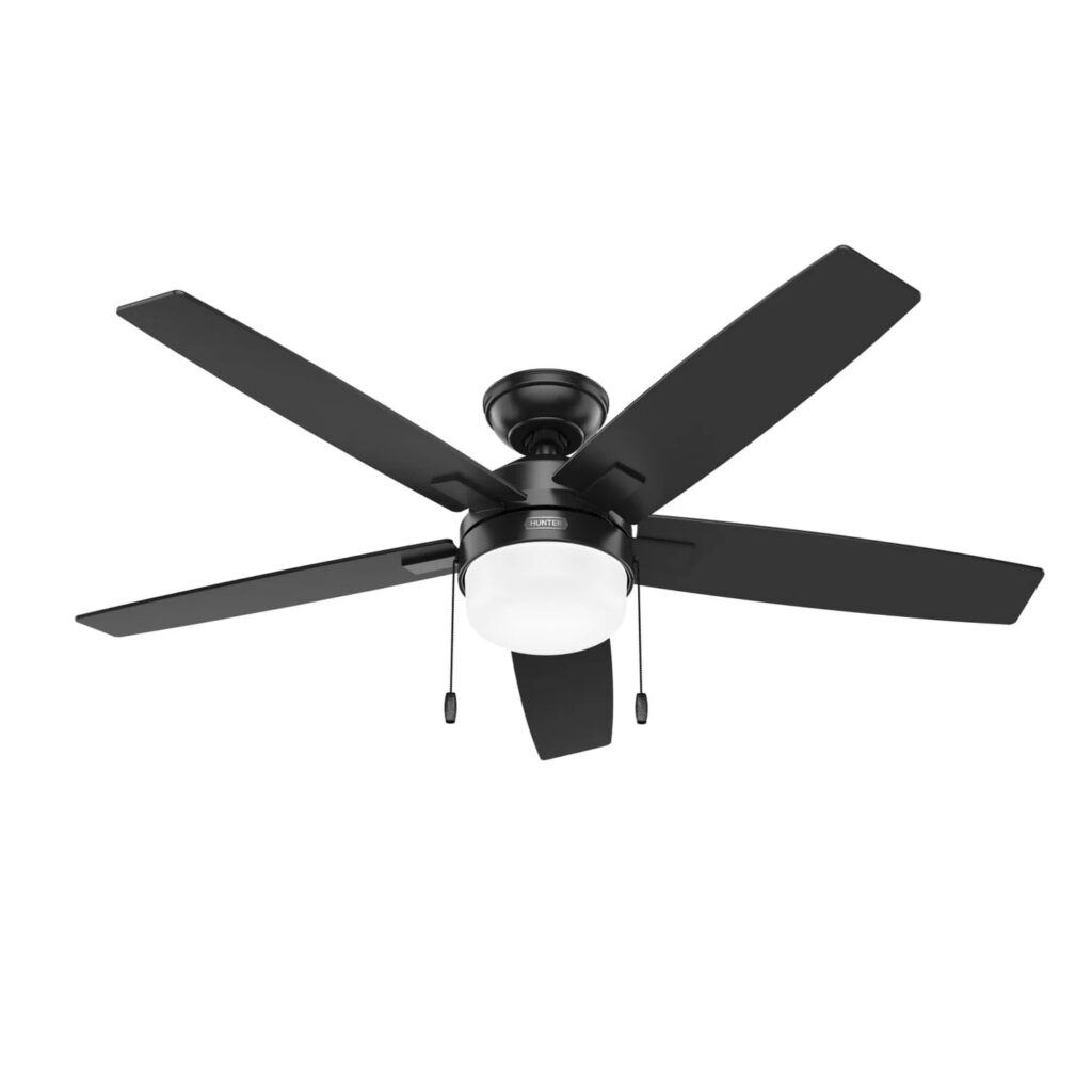 Black ceiling fan & light